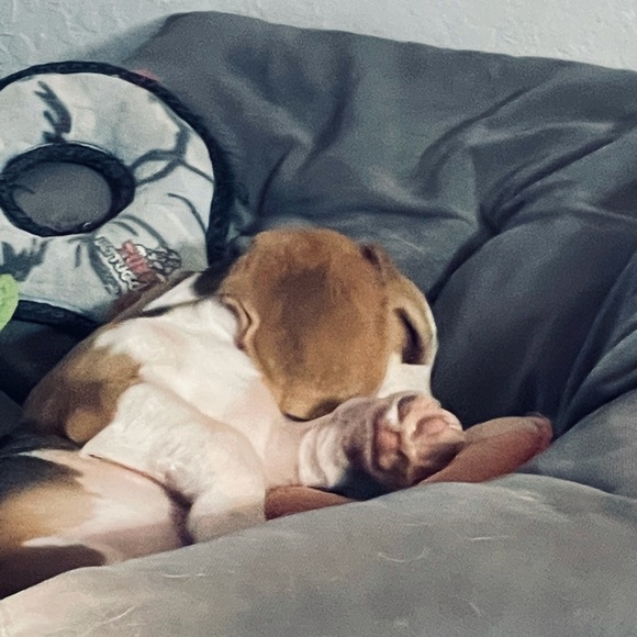 Colorstreet nails - Picture 2 of 2